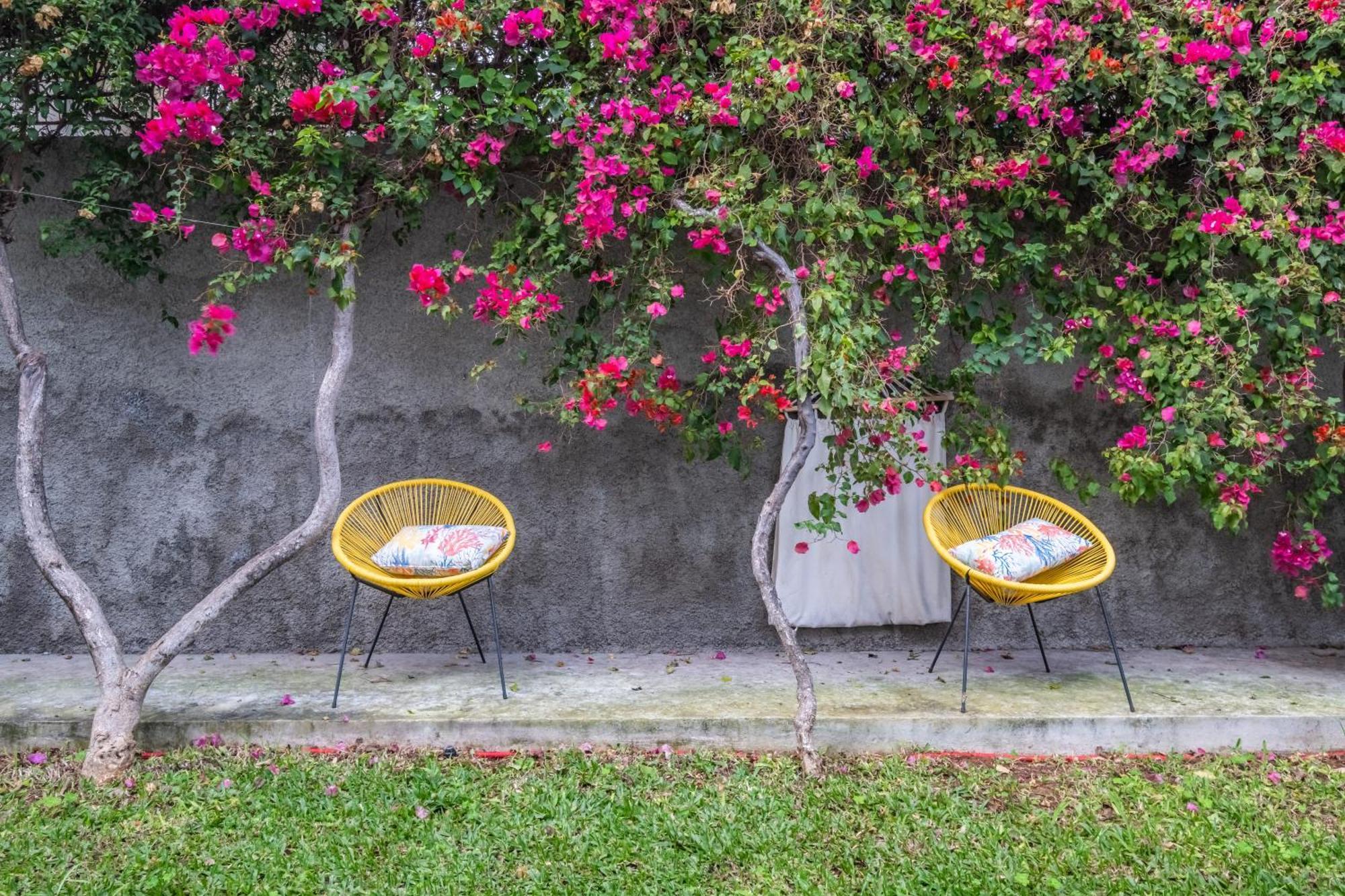Casa Buganvilia Feriehus Funchal (Madeira)