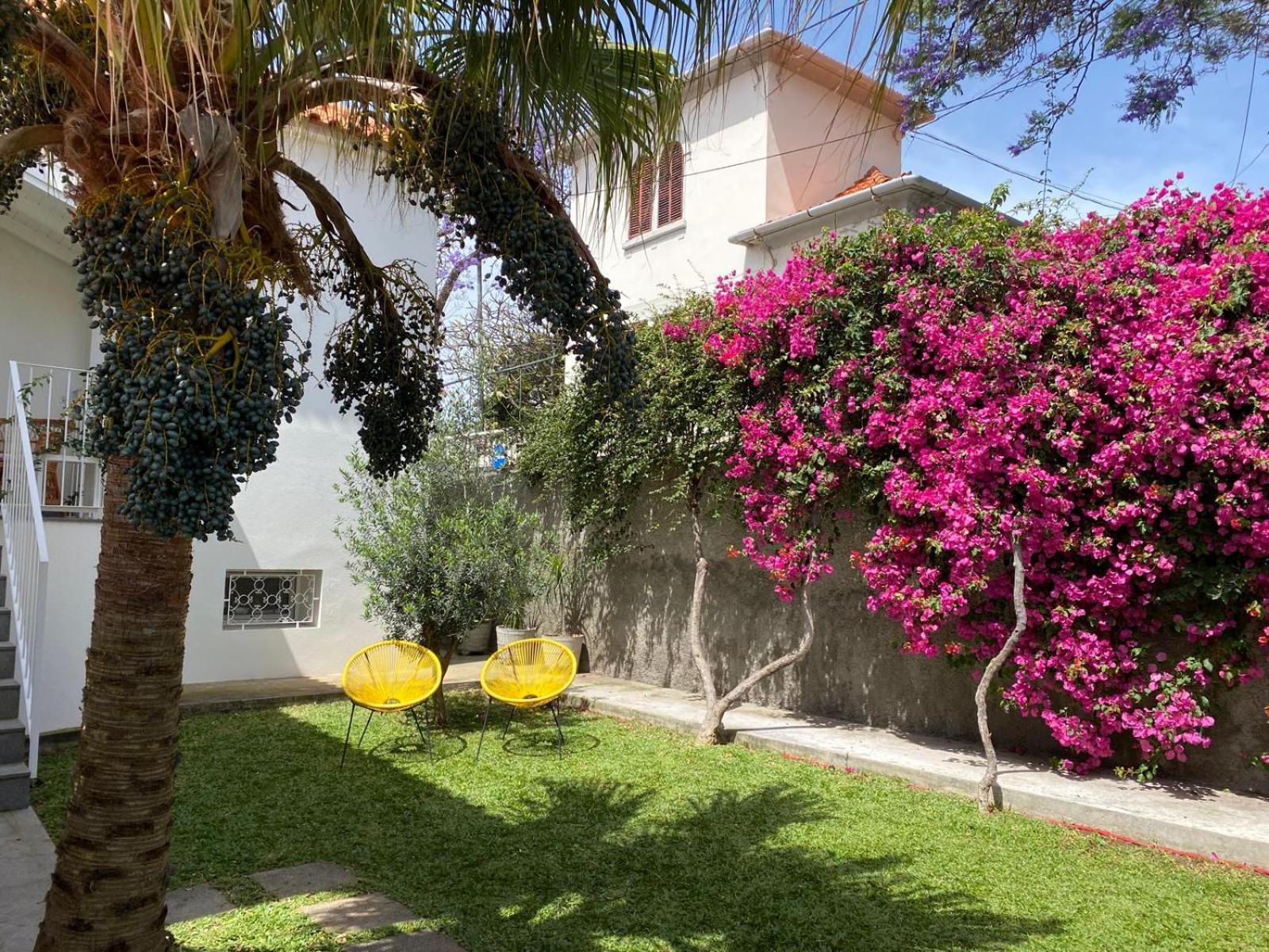 Casa Buganvilia Ferienhaus *