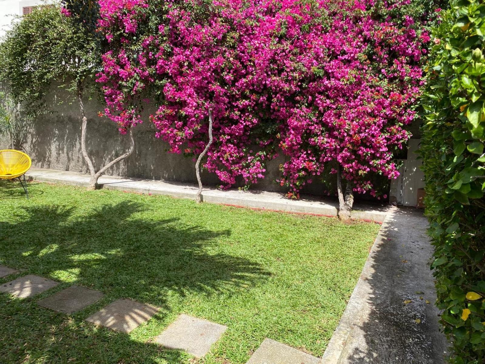 Casa Buganvilia *